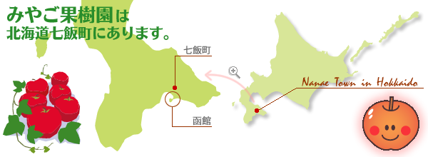 みやご果樹園は北海道七飯町にあります。